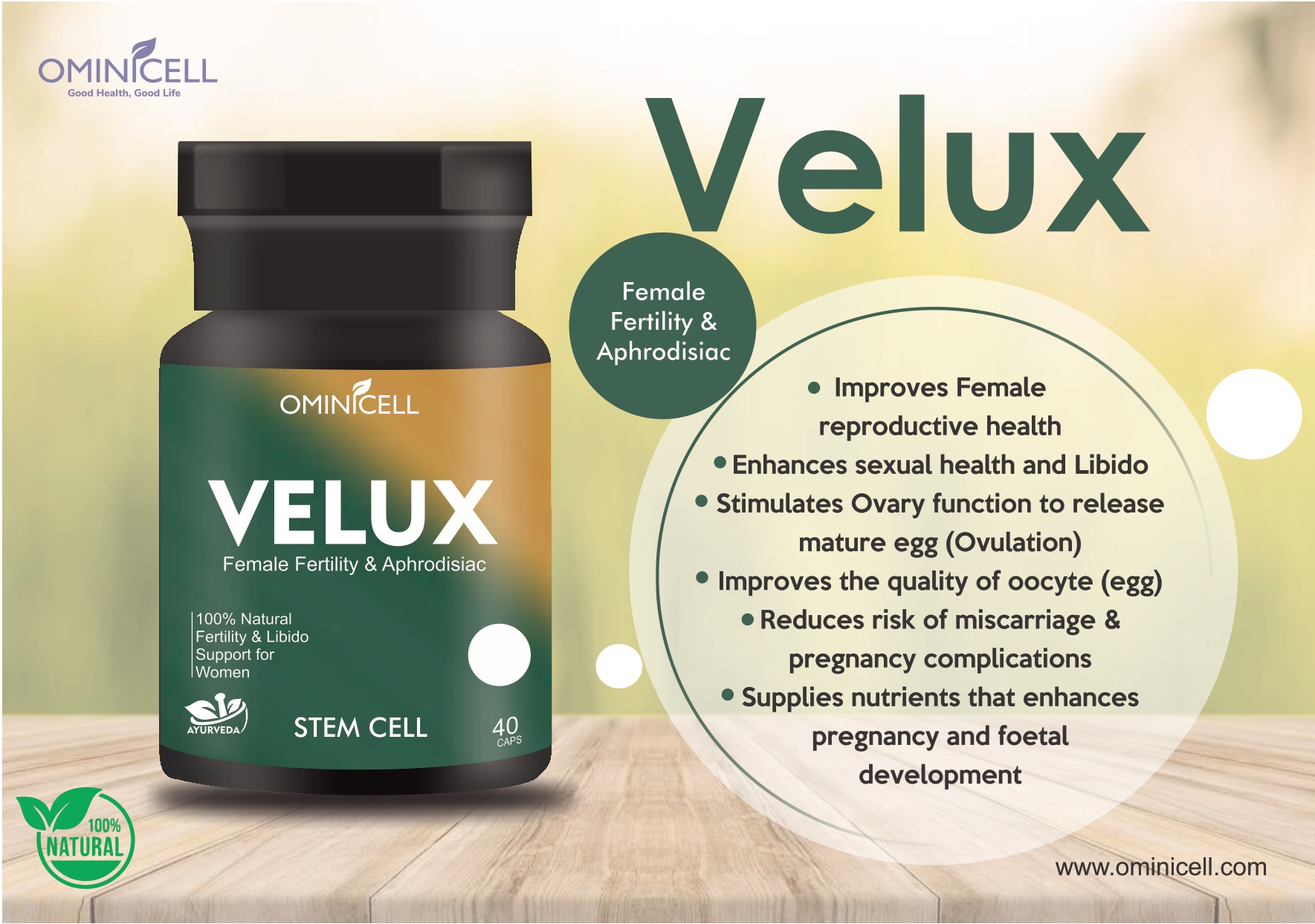 Velux Product Of Ominicell